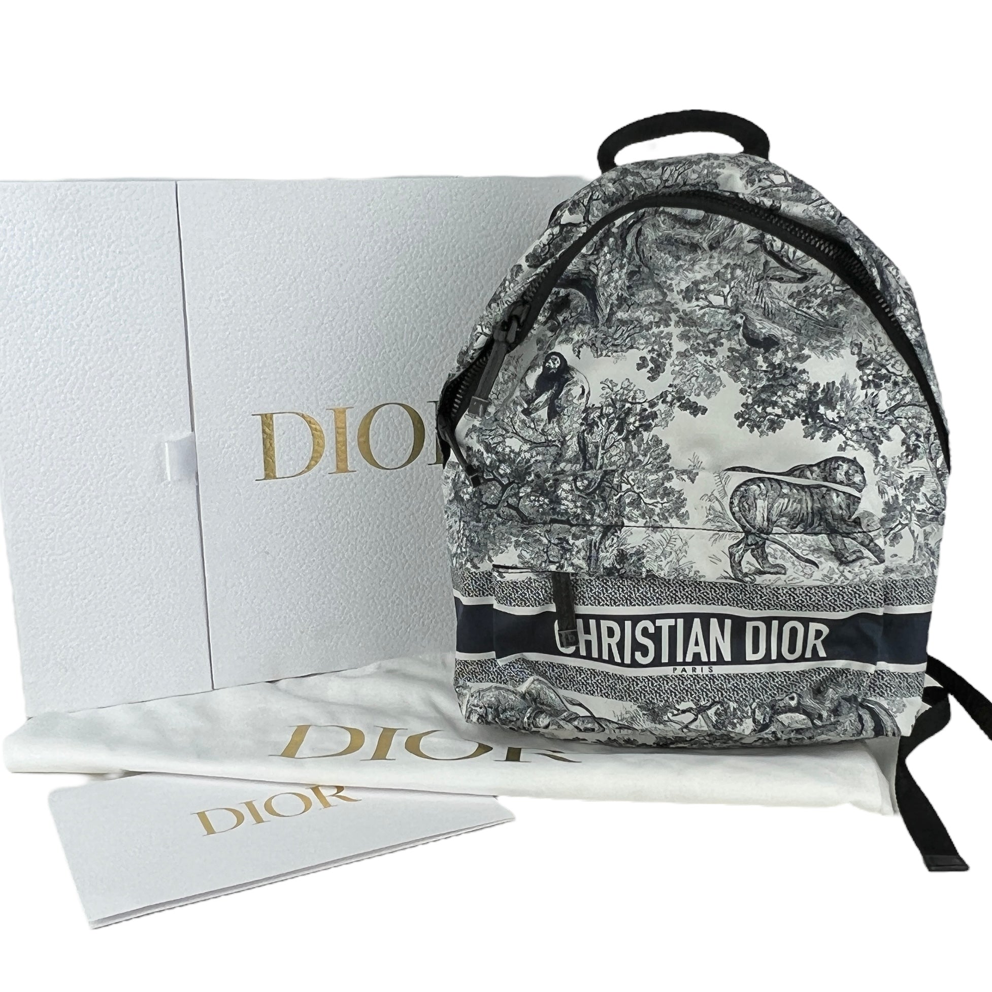 Dior backpack discount