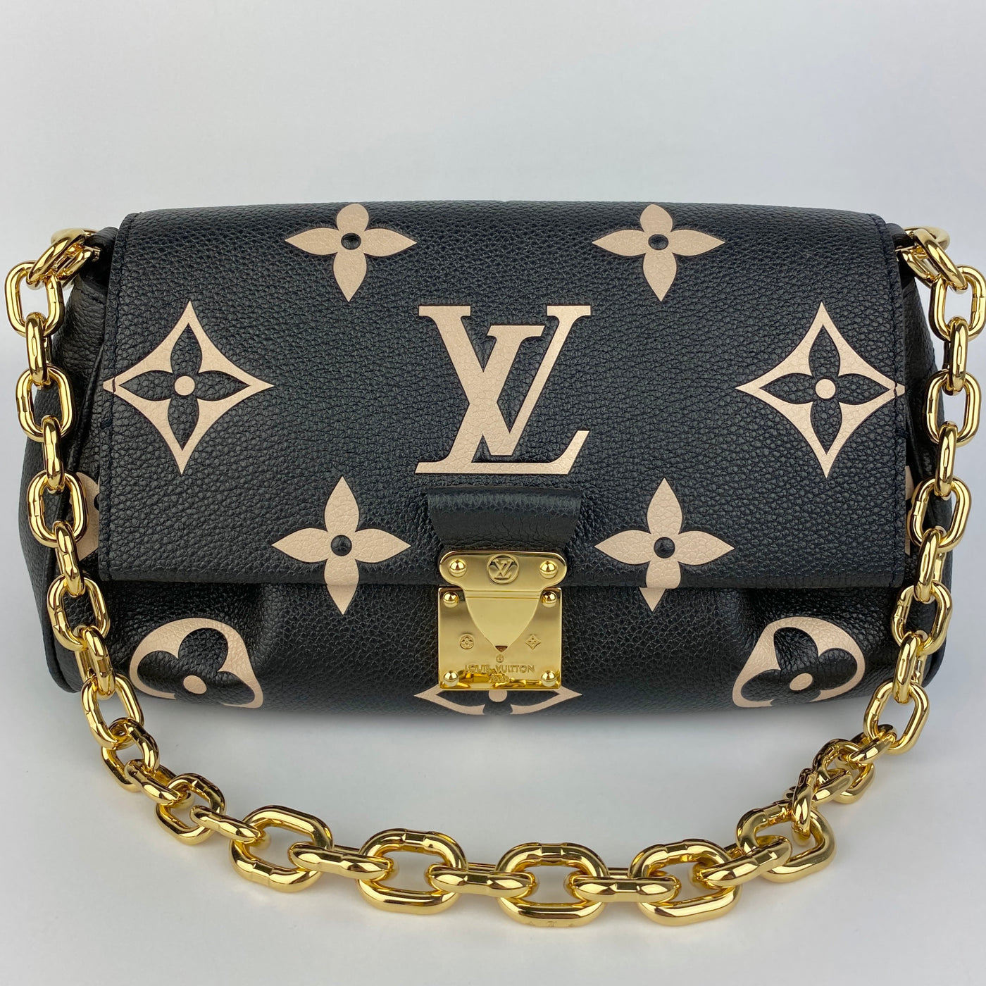 LOUIS VUITTON FAVOURITE BAG