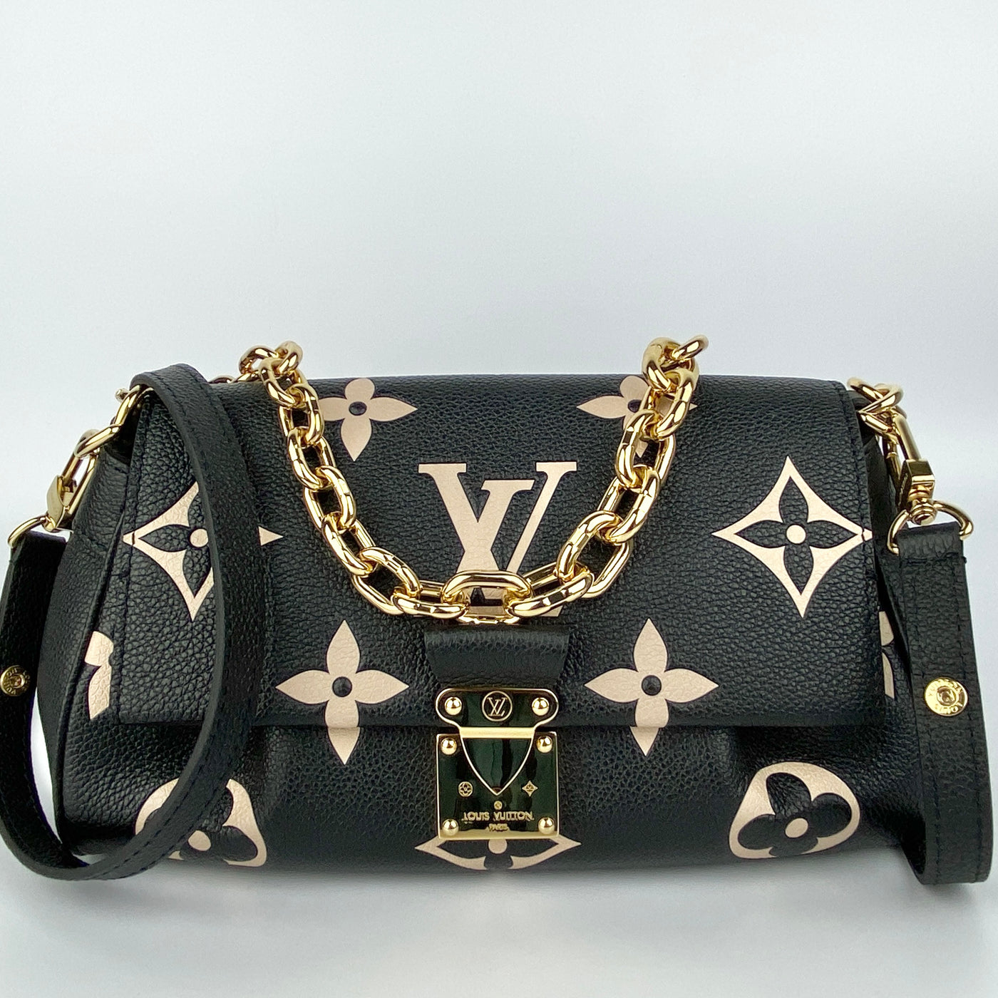 LOUIS VUITTON FAVOURITE BAG